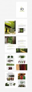 diseño-catalogo-ioverde